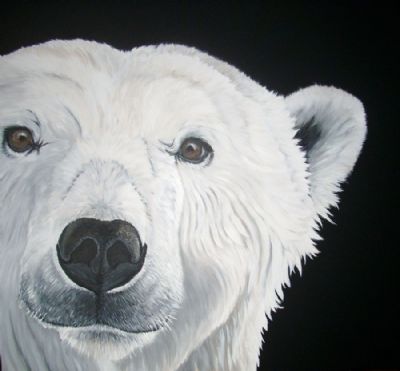 peter the polar bear